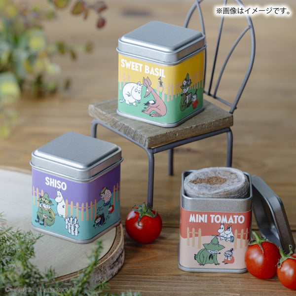 3月中旬頃お届け予定＊缶入り栽培キット(3種セット)【公式限定】＜予約