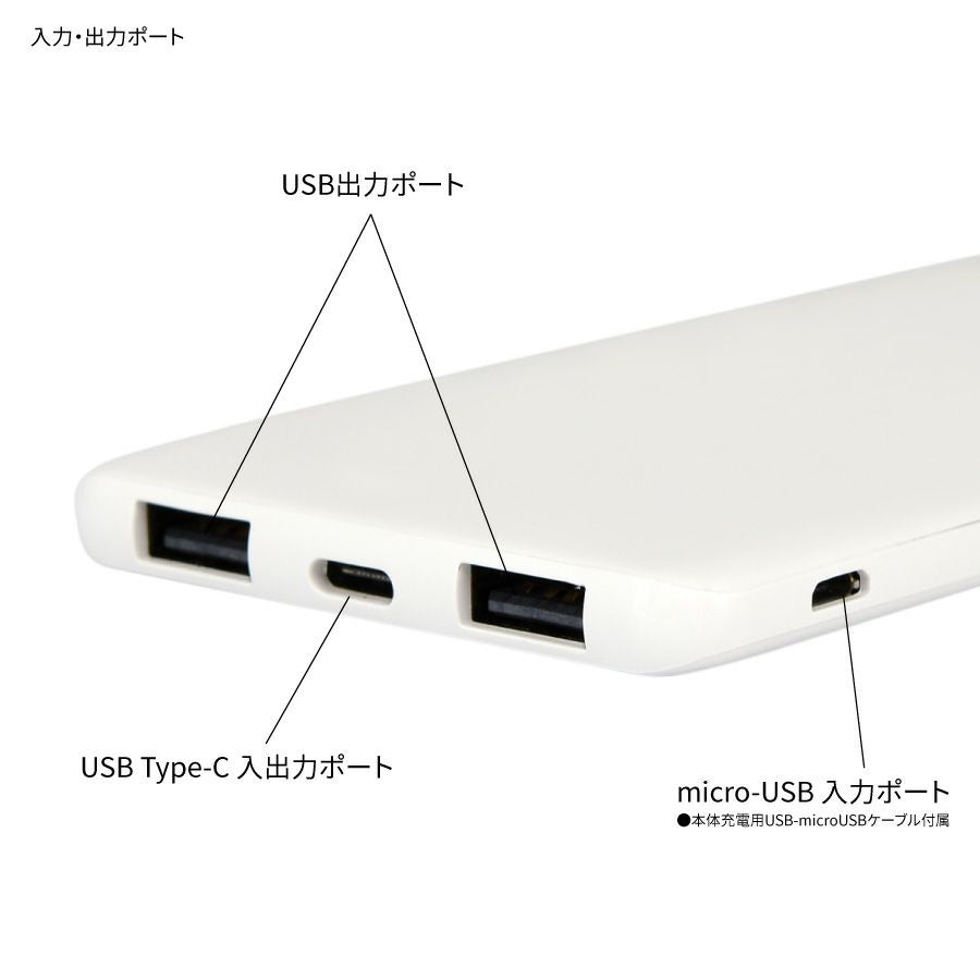 USB/USB TypeC 4000mAhリチウムイオンポリマー充電器2.1A（ニョロニョロ）MMN163D【航空便不可】
