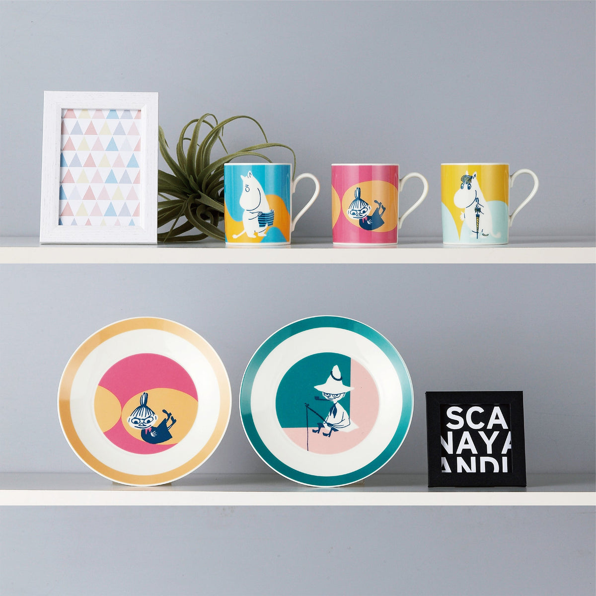 19盘（半彩/小美）MM5802-330